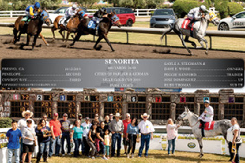 SENORITA