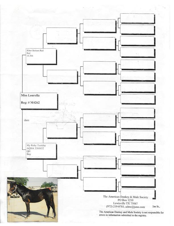 Miss Lourella's Pedigree