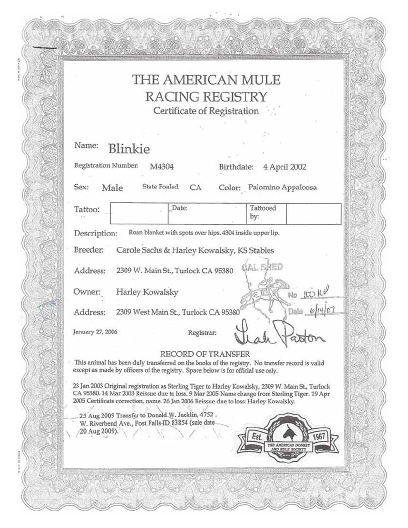 Blinkie Registration