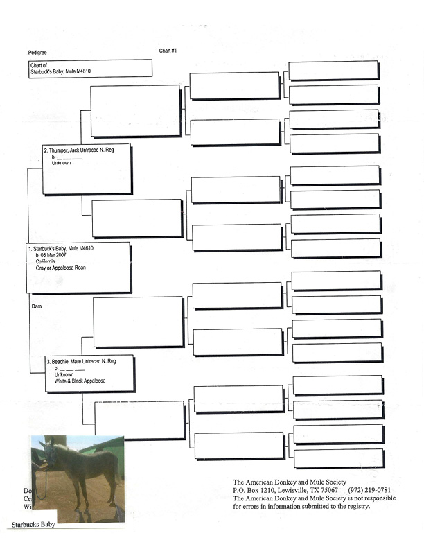 Starbuck's Pedigree