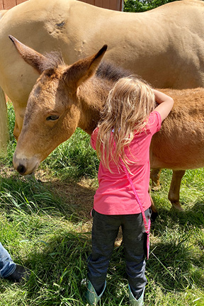 Training Babies 2364
