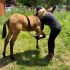 Training Babies 2327