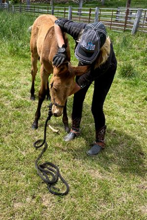 Training Babies 2341