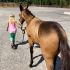 Training Babies 3163
